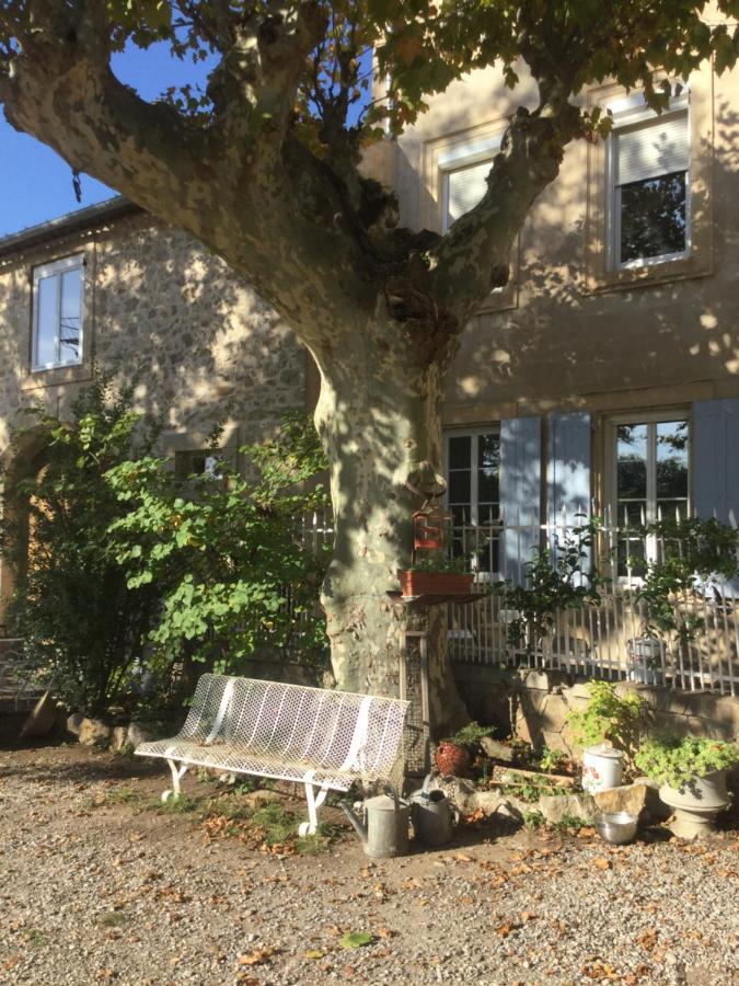 Chez Les Brocs B&B Canet  Εξωτερικό φωτογραφία